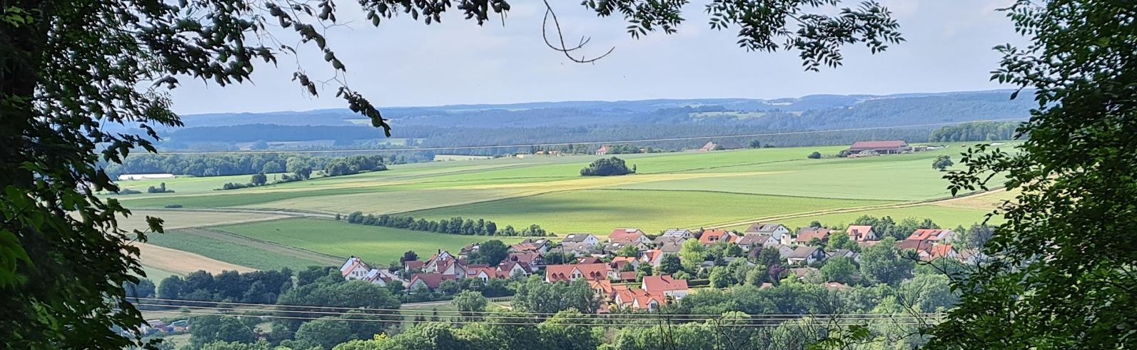 Blick auf Höttingen